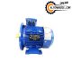 الکتروموتور آلومینیوم ایده آل 0.18 کیلووات 0.25 اسب سه فاز