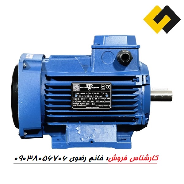 قیمت الکتروموتور سه فاز موتوژن