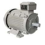 الکتروموتور 3 کیلووات 3000 دور چدنی مدل 100L2A موتوژن